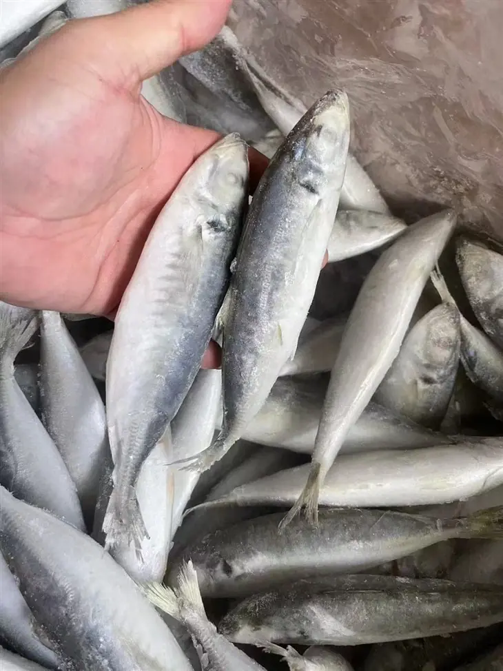 รู้ก่อนสาย! เมนูปลาที่คนไทยชอบกิน แต่แฝงอันตรายถึงชีวิต