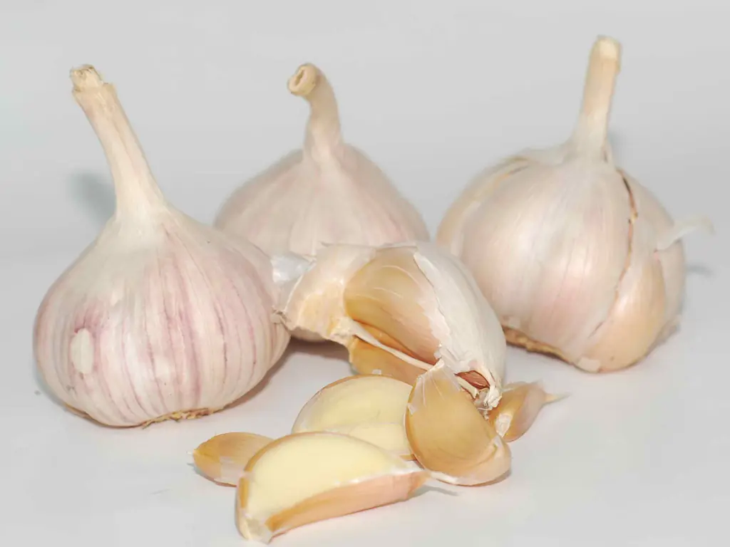 เคล็ดลับอายุยืน ปู่บราซิลวัย 114 เผยกินสิ่งนี้ทุกวัน อร่อย ราคาถูก ที่ไทยหาซื้อง่ายมาก!