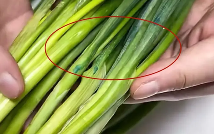 ผัก 5 อย่างที่มักป.นเปื้.อนสา.รเ.คมี พ่อค้าแม่ค้ายั.งยอ.มรับ ว่าไ.ม่เ.คยให้คนในครอบครัวกิน