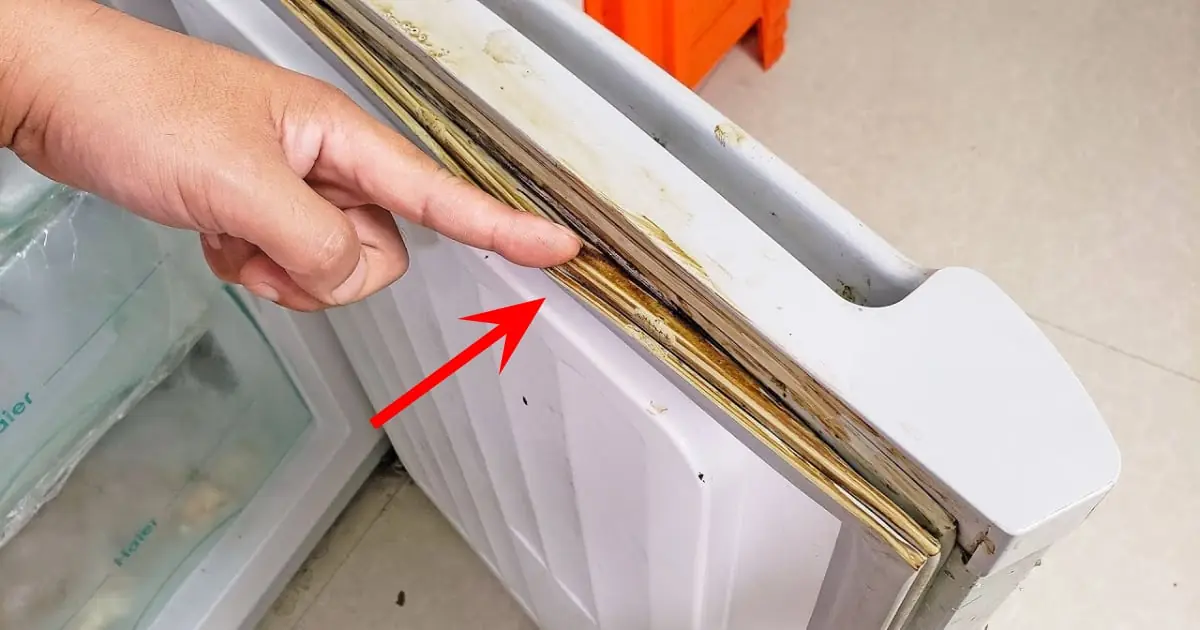 เชื้อราในตู้เย็นอันตรายกว่าที่คิด วิธีทำความสะอาดให้หมดจดใน 2 นาที