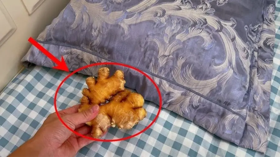 5 ประโยชน์ของการวางขิง ไว้ข้างหมอนก่อนนอน