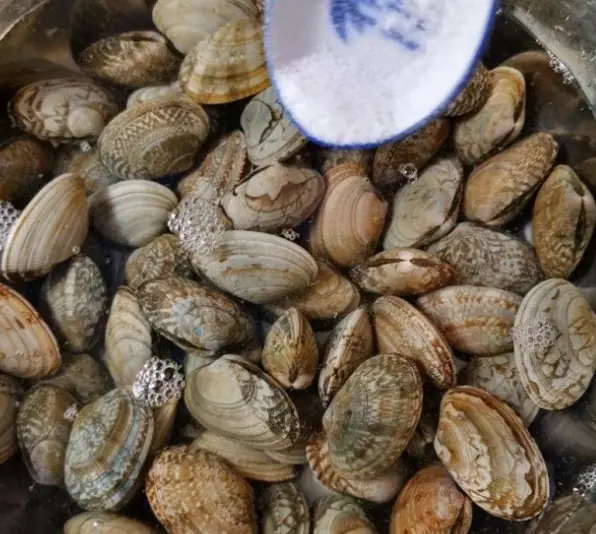 แช่หอยลายแค่ในน้ำเปล่า “ยังไม่พอ”! ใส่สิ่งนี้ 15 นาที โคลนทรายหลุดหมด สะอาดพร้อมปรุงทันที