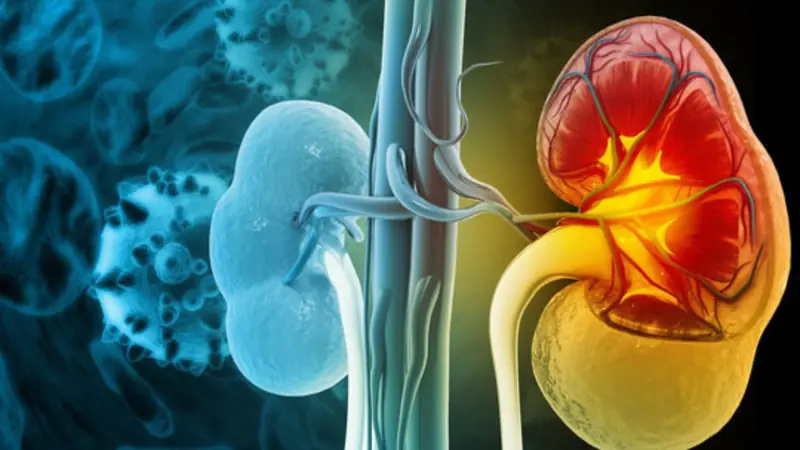 8 สัญญาณไ.ตเสื่อม หากละเลยอาจต้องฟอกไ.ตตลอดชีวิต: มีกลิ่นปากแม้แปรงฟันสะอาด