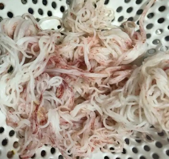 เตือนภัย! 3 กลุ่มคนที่ไม่ควรกินขนมจีน แม้หิวแค่ไหนก็ควรเลี่ยง