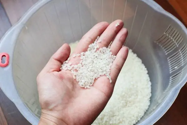 คนโบราณเตือน! เก็บข้าวผิดที่ เสี่ยงทั้งบ้านป่วยไม่รู้ตัว