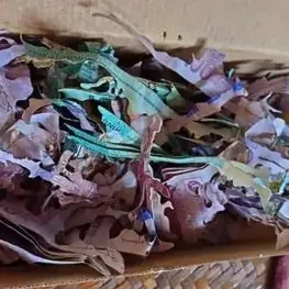 บทเรียนครั้งใหญ่ ยายออมเงินจะไปทำบุญ เปิดกล่องอีกที 2 แ.สน เหลือเป็นเศ.ษกระ.ดาษ