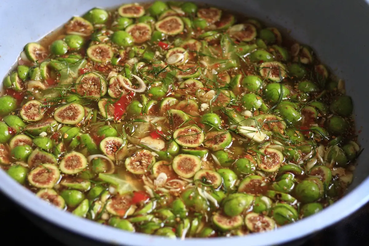 ผลมะเดื่อ – ผลไม้พื้นบ้านที่ช่วยดูแ.ลโ.รคเรื้.อรังยอดฮิตได้อย่างน่าประหลาดใจ