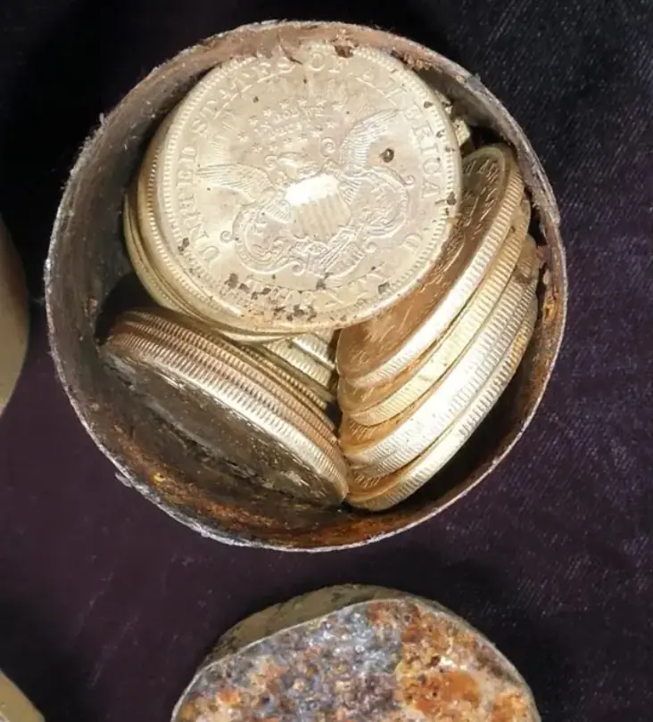 รวยไปทั้งชาติ! พาหมาเดินเล่นเจอกระป๋องใส่เหรียญทอง แยกขายได้เหรียญละ 34 ล้าน