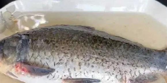 ในการละลายปลาแช่แข็ง อย่าแช่ในน้ำนานเกินไป มีวิธีอื่นคือ ละลายปลาภายในไม่กี่นาที