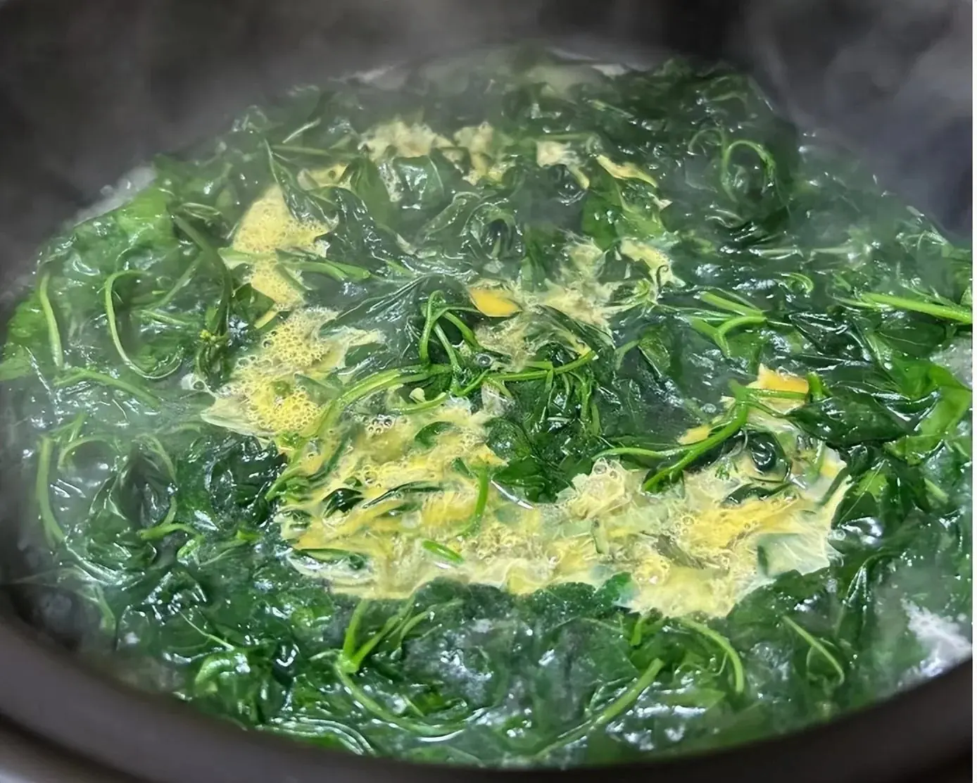 เปิดเคล็ดลับผักพื้นบ้านไทย ทางเลือกเสริมสร้างภูมิคุ้มกันให้แข็งแรง