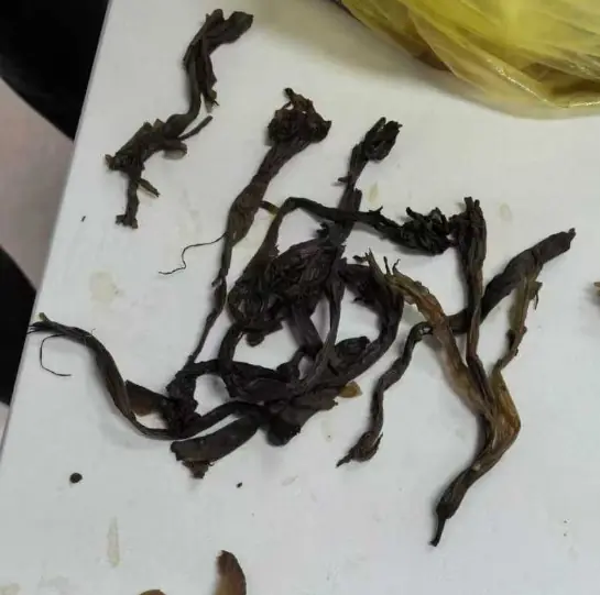 อันตรายจากอาหารและสมุนไพร หากใช้ผิดวิธีอาจถึงแก่ชีวิตได้!