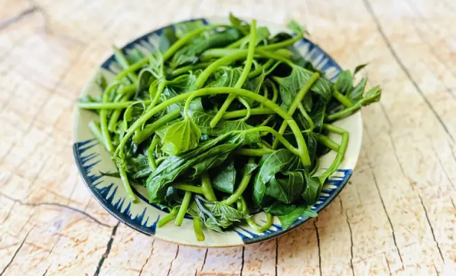 ผักใบเขียวธรรมดาที่ไม่ธรรมดา พลังต้านเซลล์ร้ายที่คุณไม่ควรมองข้าม