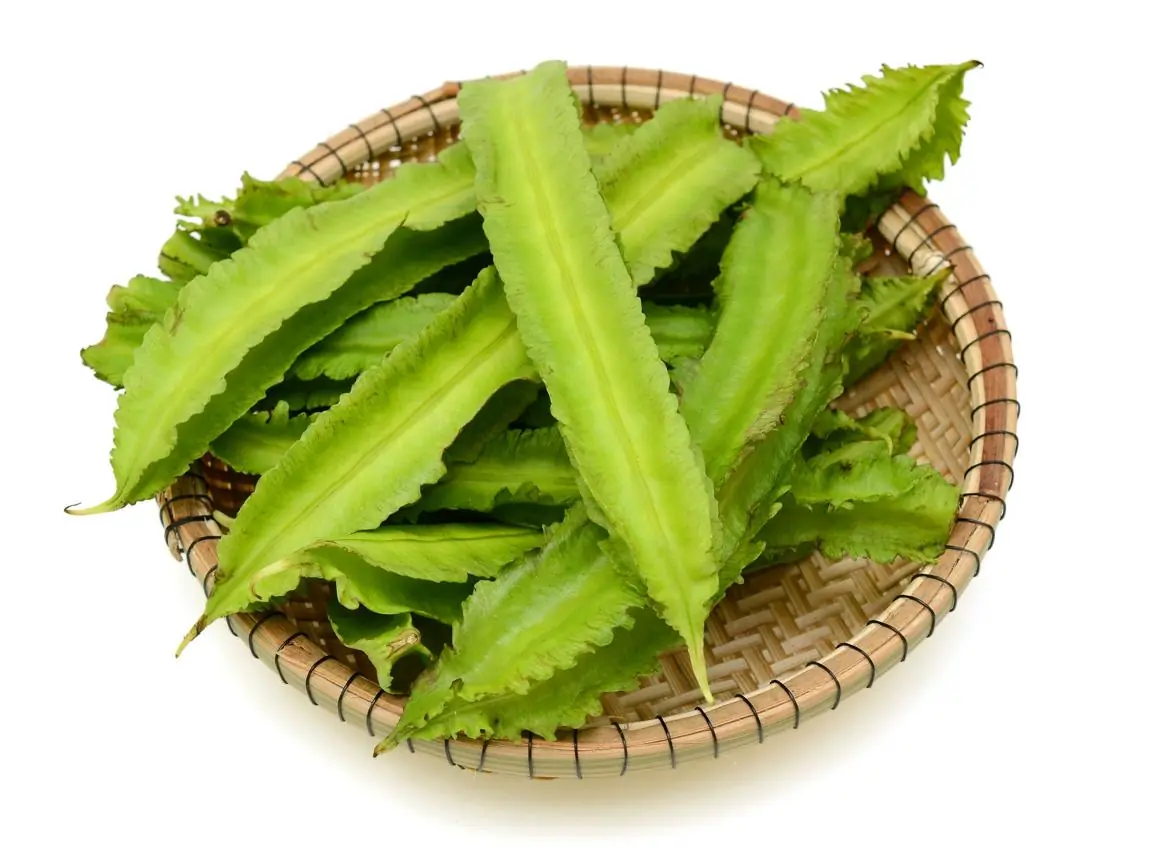 รู้ก่อนกิน! ถั่วพูอุดมแคลเซียม แต่คน 2 กลุ่มควรหลีกเลี่ยง