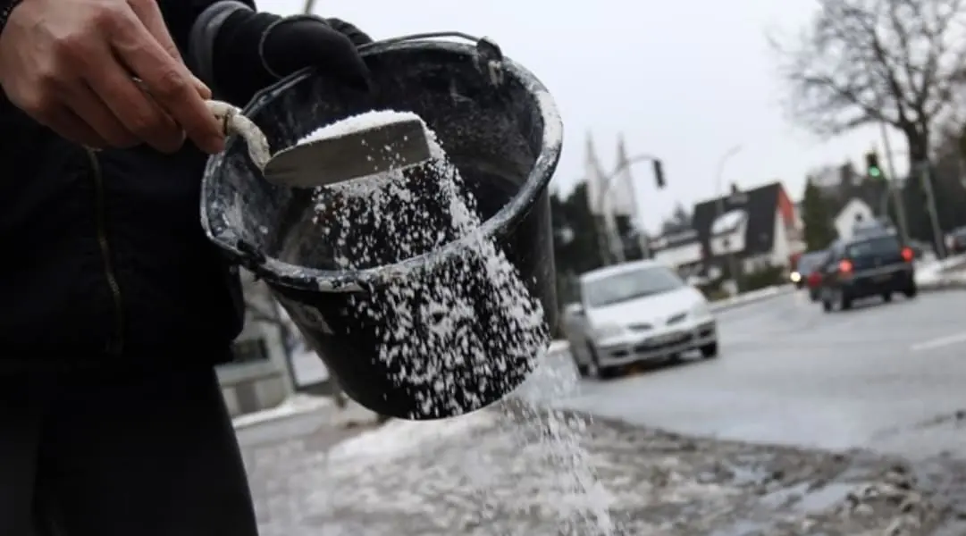 โรยเกลือรอบบ้าน ในวันฝนตก ใครเห็นก็คิดว่า “แปลก” แต่เมื่อเห็นผลก็ทำตาม