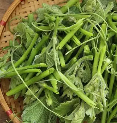 ผัก 3 ชนิดที่เสี่ยงอันตรายต่อสุขภาพที่คุณควรรู้