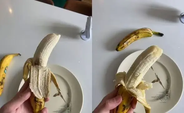 ตู้เย็นไม่ใช่ถังวิเศษ! เตือนภัย 3 สิ่งยิ่งแช่ยยิ่งแย่ เสี่ยงเชื้อราและเสียสุขภาพ