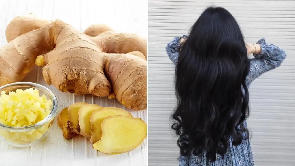 เคล็ดลับธรรมชาติเพื่อเส้นผมดูหนานุ่มและมีน้ำหนัก