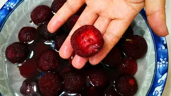 คำเตือนสุขภาพ: ผลไม้หน้าร้อนที่อาจแฝงอันตรายที่มองไม่เห็น