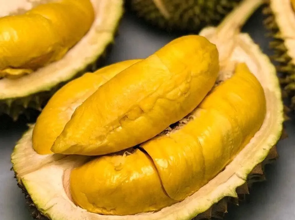 ทุเรียนให้พลังงานสูง แต่มี 4 กลุ่มคนที่ไม่ควรกิน