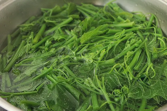 ผักไทยตัวนี้คือ “ตัวฆ่าน้ำตาล” ของจริง! เบาหวานกลัวที่สุด นักวิจัยญี่ปุ่นยกย่องสรรพคุณ
