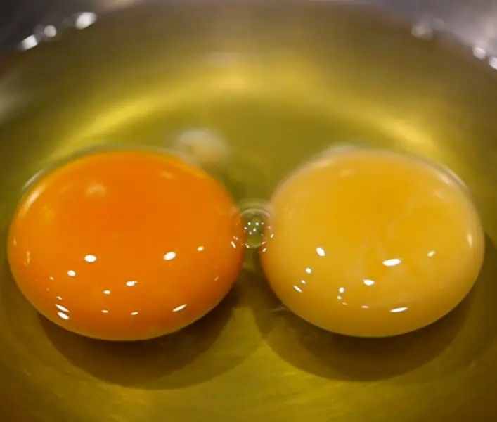 ไข่แดงสีเข้มกับสีอ่อน ต่างกันอย่างไร แบบไหนดีกว่ากัน?