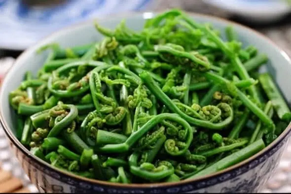 ผักพื้นบ้าน 3 ชนิด กินถูกวิธี สุขภาพดี ไร้กังวลเรื่องโรคร้าย