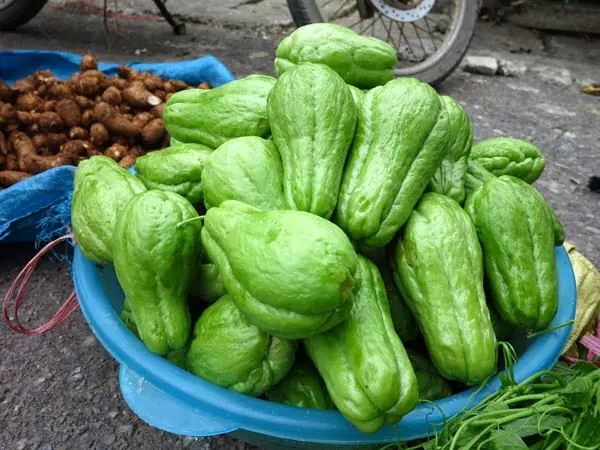 หยุดซื้อยา! ฟักแม้วช่วยลดปวดเข่า เท้าบวม ความดัน และไขมันในเลือด