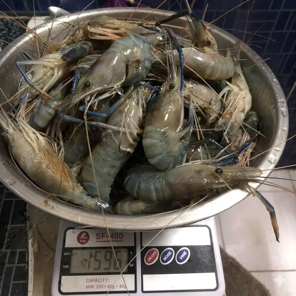 เกิดอะไรขึ้น? หนุ่มเข้าไปซื้อกุ้ง 5 กก. ผ่านมา 10 นาที "ต้องปิดตลาด" ร้านโดนปรับเป็นล้าน!!