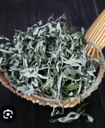 วางใบไม้ชนิดนี้ไว้ในห้อง ยุงหายเกลี้ยง บ้านหอมสดชื่นตลอดเวลา