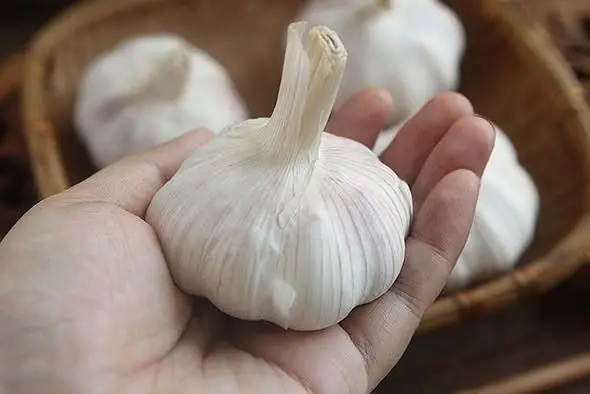 หัวข้อ: 3 "สมบัติ" ในครัวไทยที่ถูกยกให้เป็นสุดยอดวัตถุดิบต้านภัยเงียบ