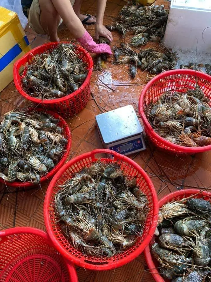 เกิดอะไรขึ้น? หนุ่มเข้าไปซื้อกุ้ง 5 กก. ผ่านมา 10 นาที "ต้องปิดตลาด" ร้านโดนปรับเป็นล้าน!!