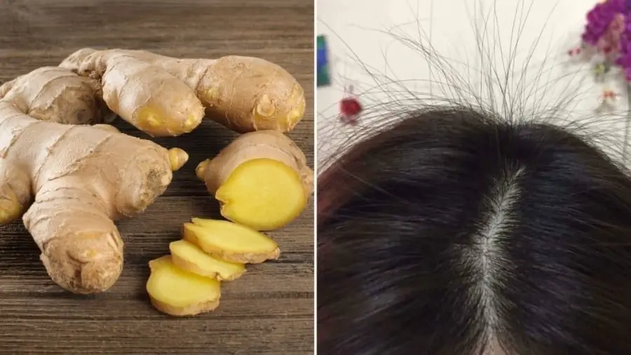 ผู้หญิงญี่ปุ่นนิยมมาก! สูตรขิงสดช่วยผมขึ้นใหม่แบบธรรมชาติ