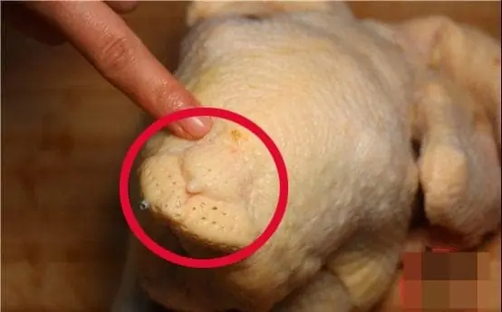 4 ส่วนที่สกปรกที่สุดของไก่ พยาธิเพียบแต่คนชอบกิน!