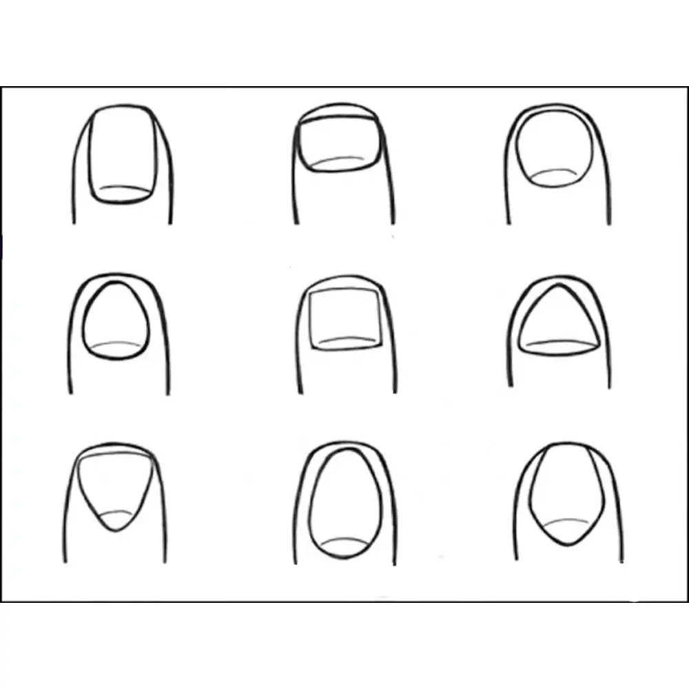 รูปร่างเล็บบอกนิสัยได้จริงหรือ? ลองเช็กดูว่าคุณเป็นคนแบบไหน