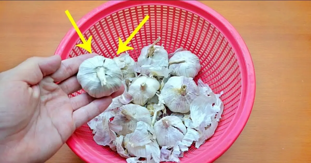 ซื้อกระเทียมมาอย่าเพิ่งเก็บทันที! ทำเพิ่มอีก 1 ขั้นตอน ช่วยให้เก็บได้นาน ไม่งอกง่าย ไม่เน่