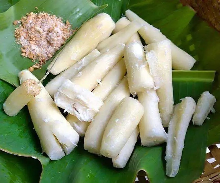 แนวทางการดูแลสุขภาพด้วยอาหารธรรมชาติเพื่อการฟื้นฟูร่างกายอย่างยั่งยืน