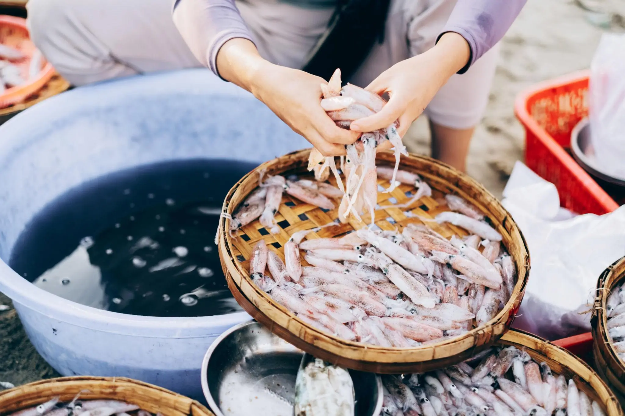 หมึกสดควรนึ่งหรือควรต้ม? วิธีไหนอร่อยกว่าและรักษาคุณค่าทางอาหารได้ดีกว่า