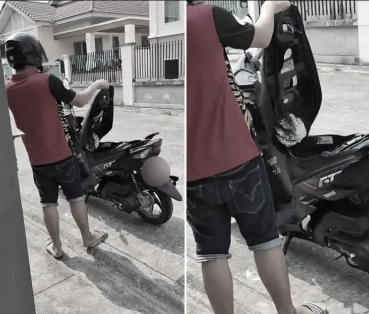 เปิดเบาะแทบช็อก ผึ้งทำรังในจยย.ป้ายแดง ชาวเน็ตแห่ตีเลข-ส่องทะเบียนรถ