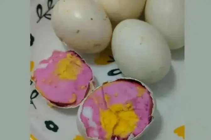 ผู้หญิงช็อก! พบไข่ต้มมีสีชมพูผิดปกติ ผู้เชี่ยวชาญเตือนอาจเกี่ยวข้องกับการปนเปื้อนของแบค