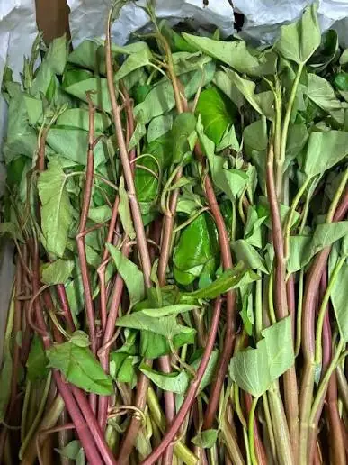 เปิดความลับผักพื้นบ้านที่ผู้เชี่ยวชาญแนะนำ กินดีสุขภาพแข็งแรง