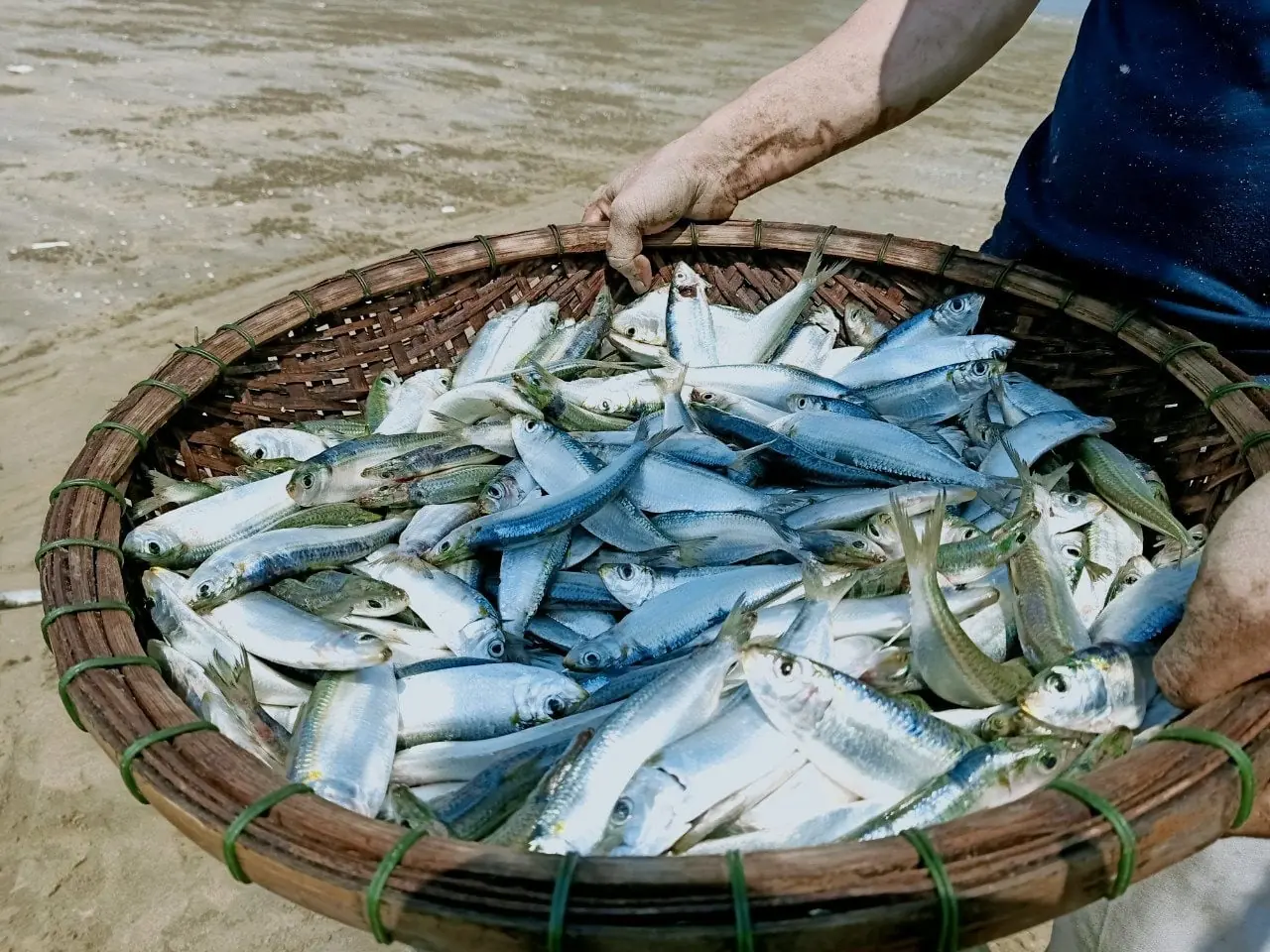 6 ชนิดปลาที่จ้างให้ก็อย่าเพิ่งรีบกิน เสี่ยงโรครุมเร้า แถมอาจได้มะเร็งเป็นของแถม