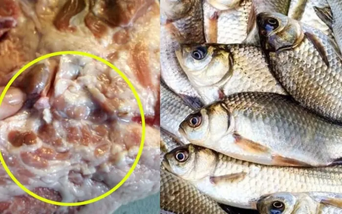 เหตุใดคนโบราณจึงกล่าวว่า "อย่าซื้อเนื้อคอหมู และอย่าซื้อปลาคาร์พ"?