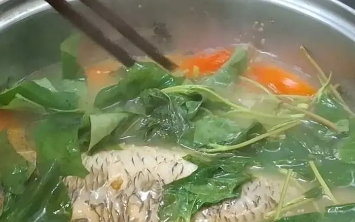 5 ผักที่ได้ชื่อว่าเป็น “รา.ชาแห่งการล้า.งพิ.ษตั.บ” ยิ่งกินยิ่งช่วยเผ.าผล.าญไ.ขมั.นและชะ.ลอวั.ย