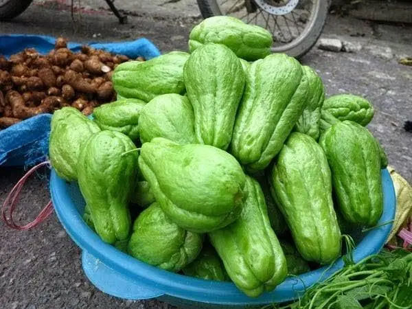 หยุดซื้อยา! ฟักแม้วช่วยลดปวดเข่า เท้าบวม ความดัน และไขมันในเลือด