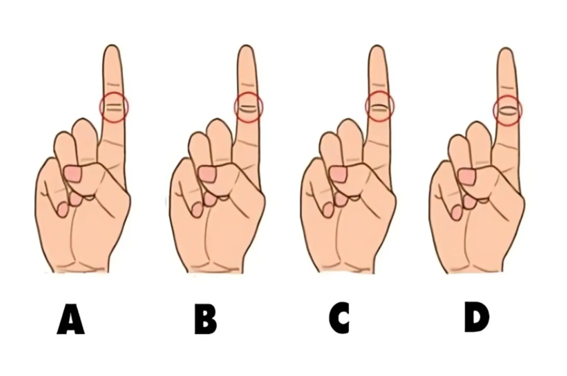 เปิดความลับลิขิตฟ้า! ทายนิสัย วาสนา และการเงิน จาก "ลายมือข้อนิ้วชี้"