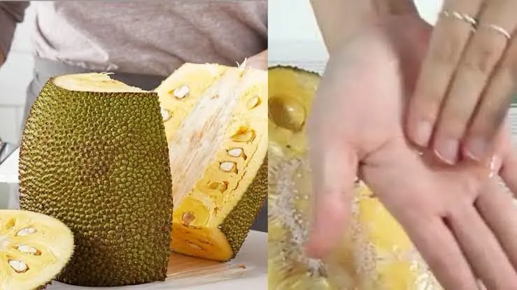 ผ่าขนุนแล้วมือเหนียวเต็มไปด้วยยาง? แค่ถูด้วยสิ่งนี้ก็สะอาด ไม่ต้องใช้น้ำ