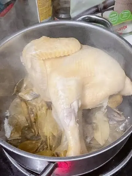 เคล็ดลับต้มไก่ให้นุ่มหอมอร่อย ไม่คาว ผิวสวยน่าทาน ทำง่ายมาก
