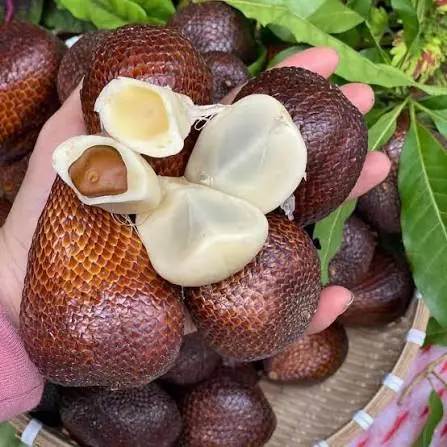 ความลับของสละ ผลไม้เกล็ดงู รสชาติอร่อย สดชื่น มีประโยชน์