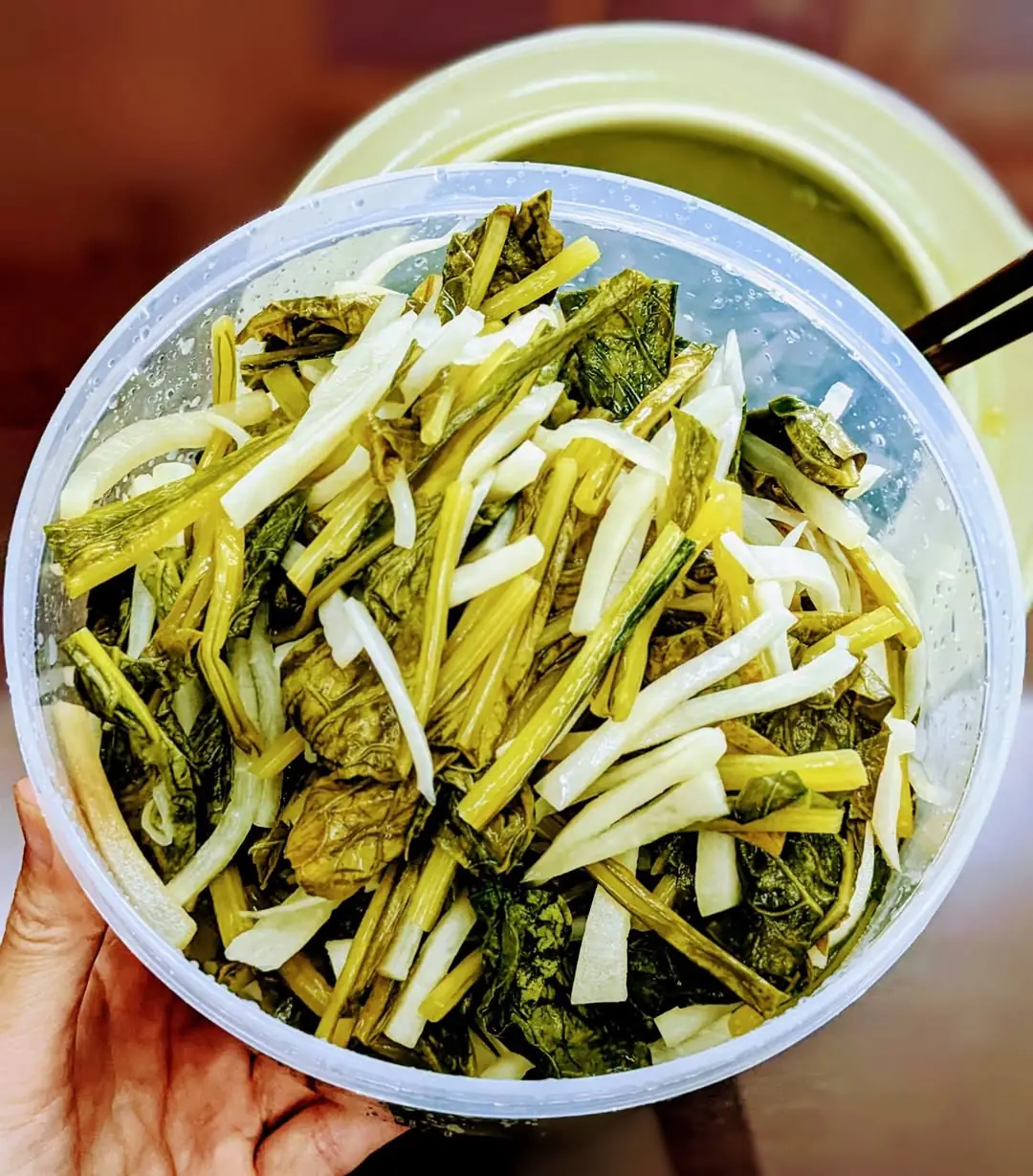 อย่ากินแค่รากหรือใบ! พืชพื้นบ้านชนิดนี้ได้รับฉายา “โสมชาวบ้าน” อุดมคุณค่าทางอาหาร แทบทุก