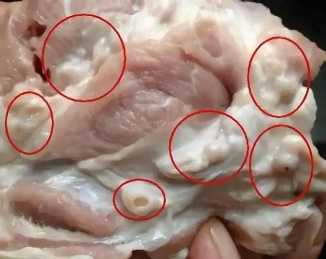 2 ส่วนของหมูที่หลายคนเข้าใจผิดว่า “มีเซลล์มะ.เร็.ง” ความจริงคือควรระวังเรื่องความสะอาดและ